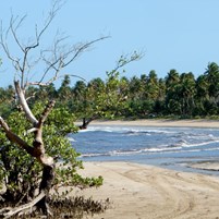 chegada-na-praia-do-bainema-em-boipeba