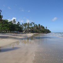 praia-da-cueira-ilha-de-boipeba-1