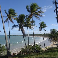 praia-da-cueira-ilha-de-boipeba-3