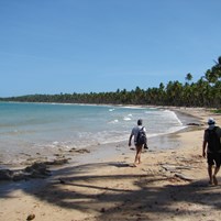 praia-da-cueira-na-ilha-de-boipeba
