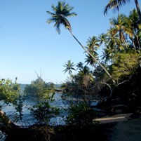 praia-das-pedrinhas-ilha-de-boipeba
