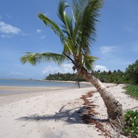 praia-dos-castelhanos-ilha-de-boipeba-2