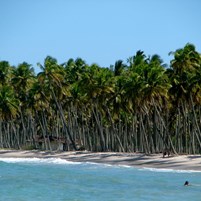 vista-da-praia-cueira-na-ilha-de-boipeba