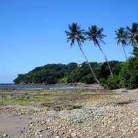 vista-da-praia-na-ilha-de-boipeba