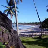 visual-na-praia-da-cueira-ilha-de-boipeba