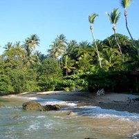 As Praias| Ilha de Boipeba | Bahia Terra Turismo